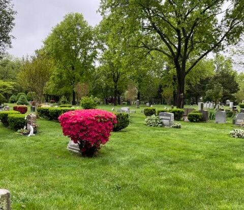 cemetery grounds at Commack Cemetery, Long Island, NY